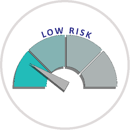 low risk icon circle frame